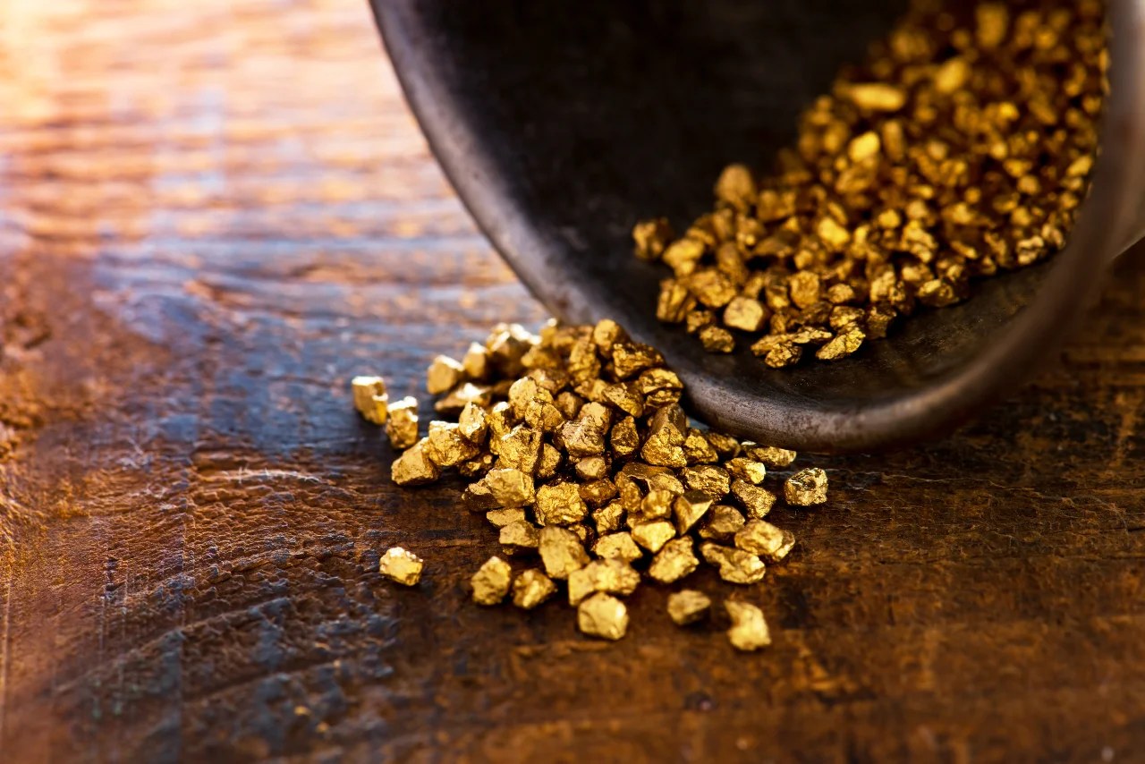Refined Sierra Leone gold nuggets poured from an assayer's scoop